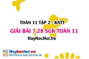 Bài 7.28 SGK Toán 11 Tập 2 Kết nối tri thức